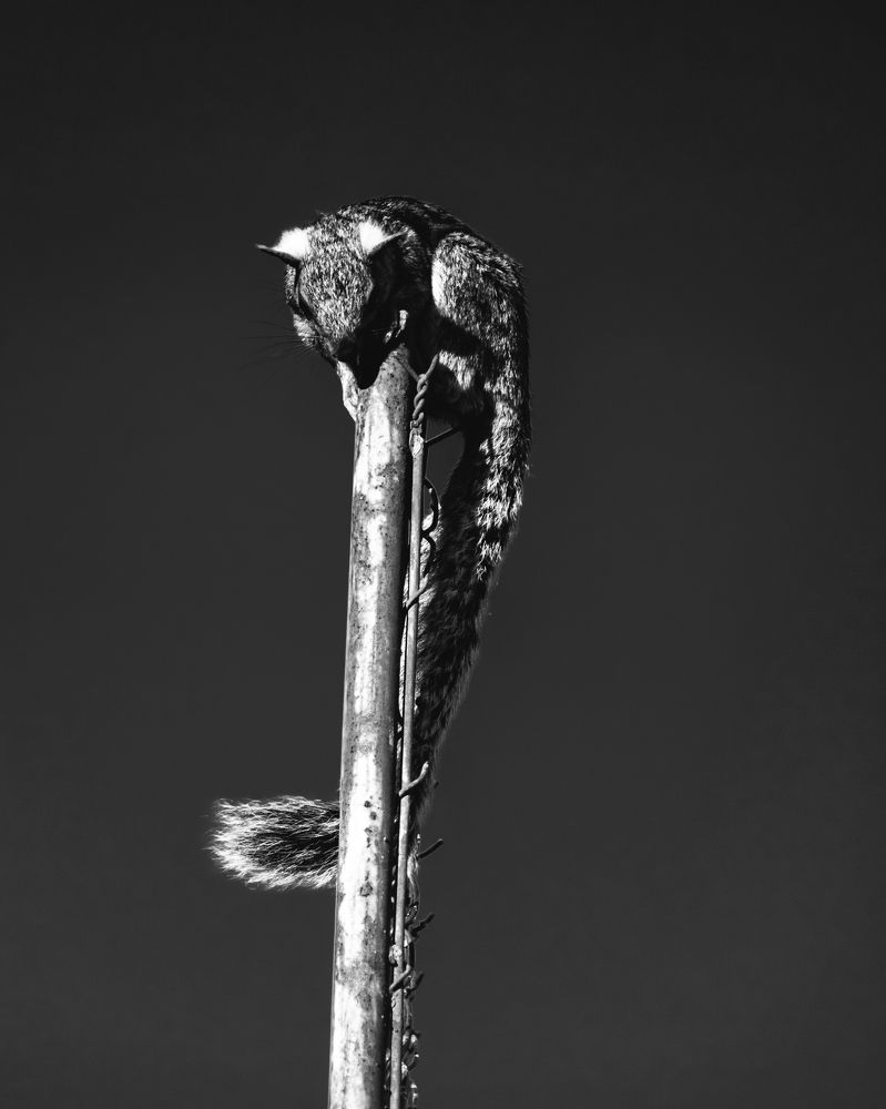 Photograph by Boulogne Mauricio Santiago