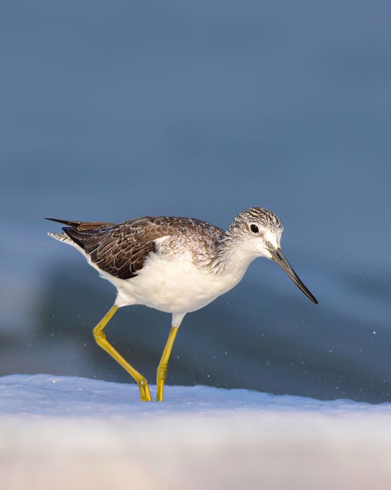 Фотография автора Abhishek Abhilash