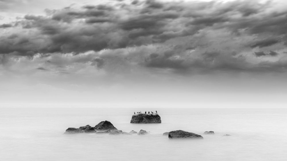 Photograph by Morteza Ghanbari