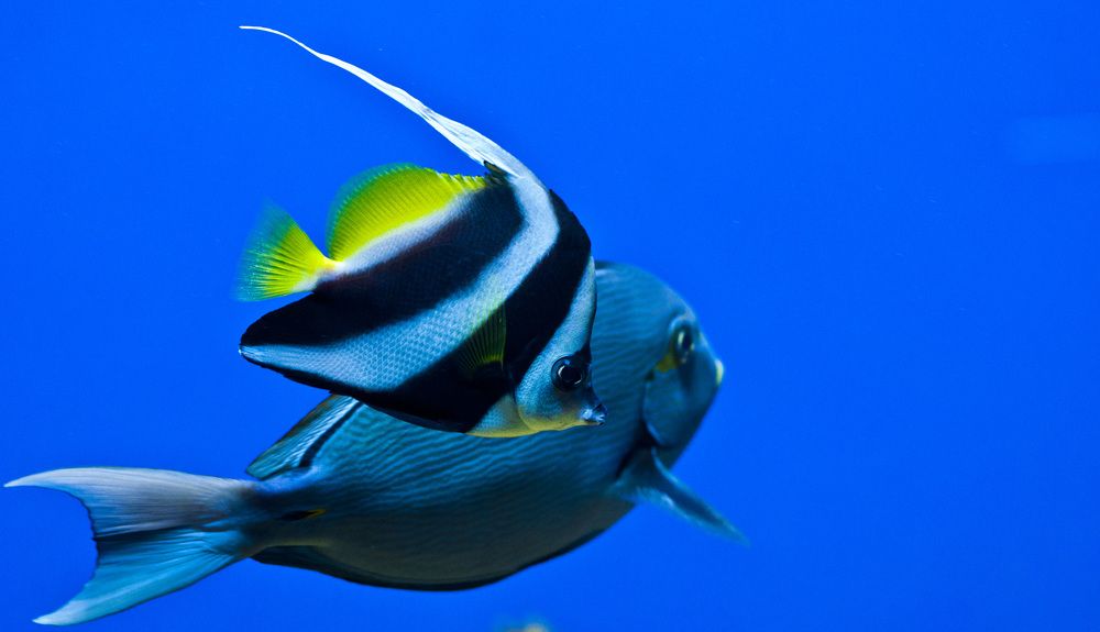 Photograph by Дмитрий Жуков