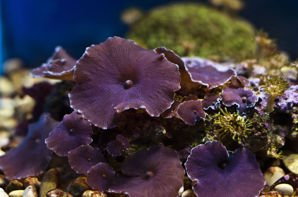 Photograph by Дмитрий Жуков