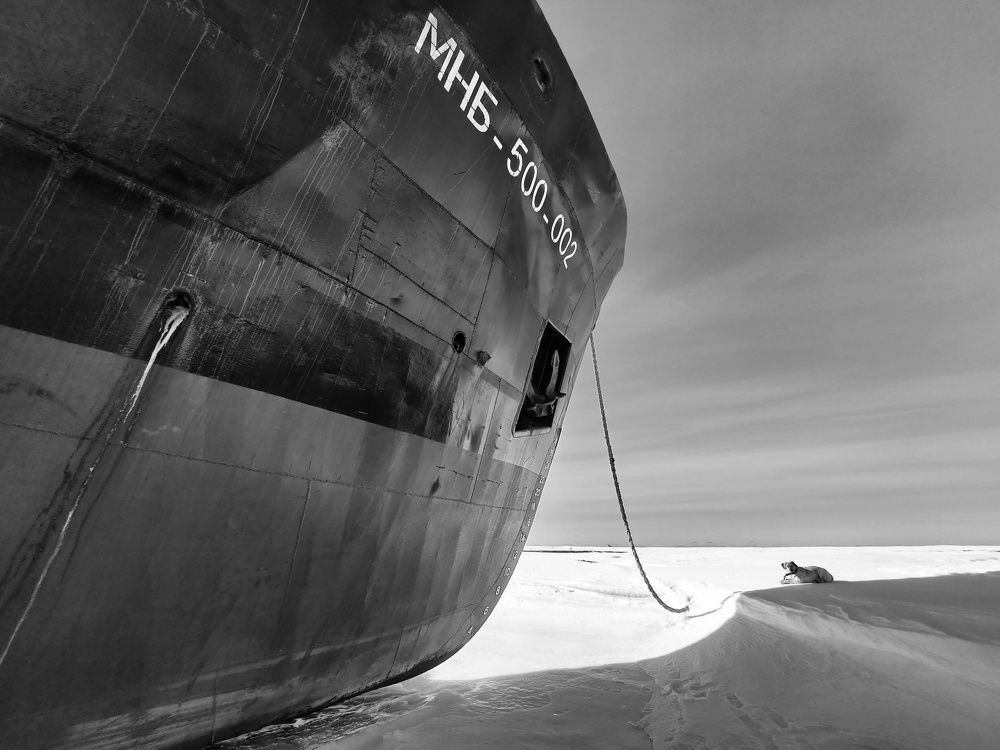 Photograph by Elena Poddubnaja