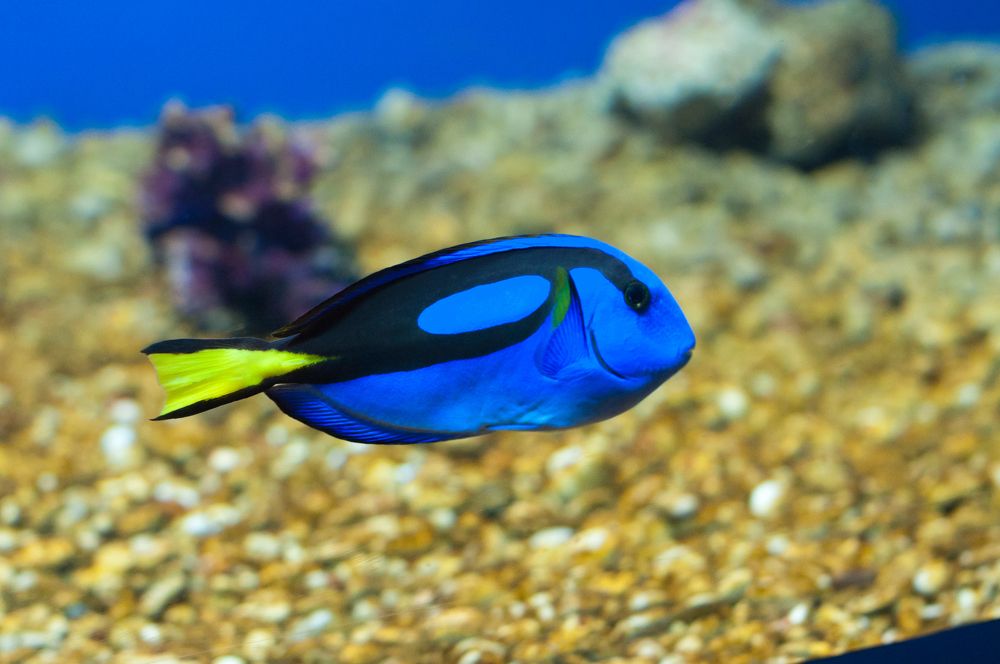 Photograph by Дмитрий Жуков