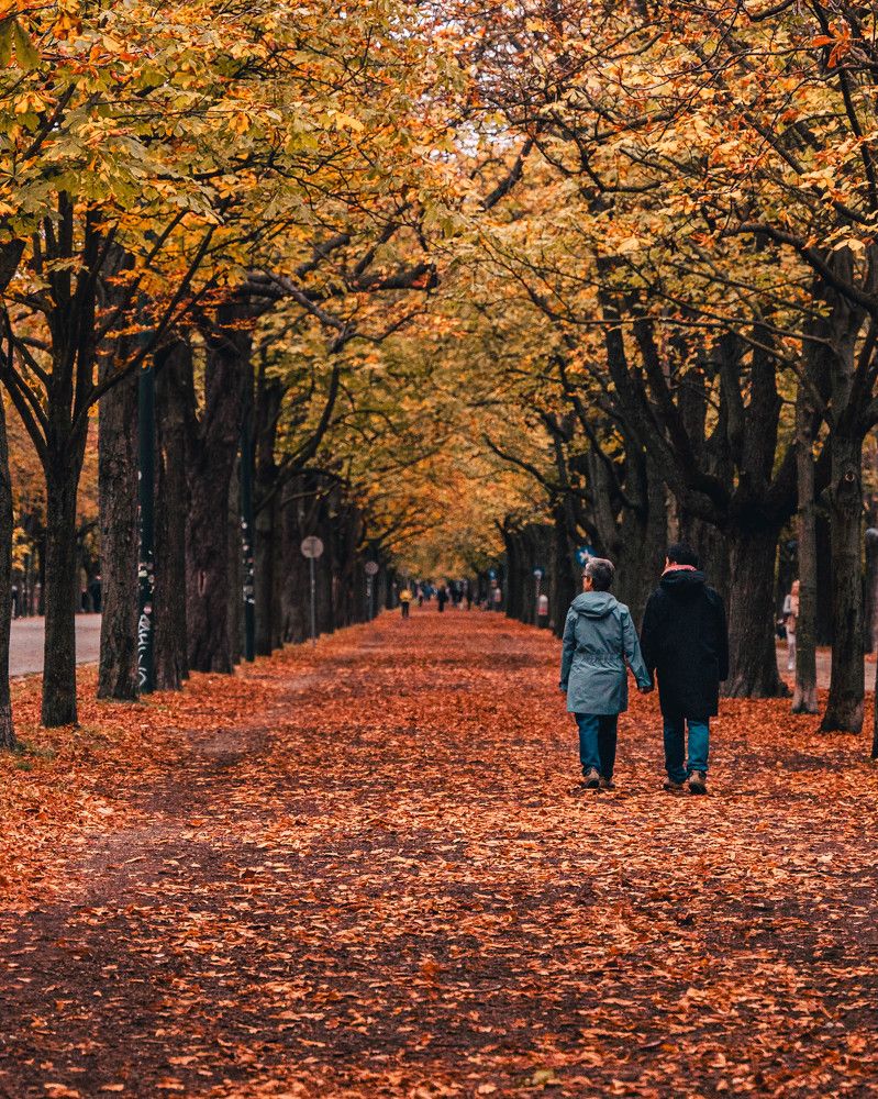 Фотография автора Ankit Gupta