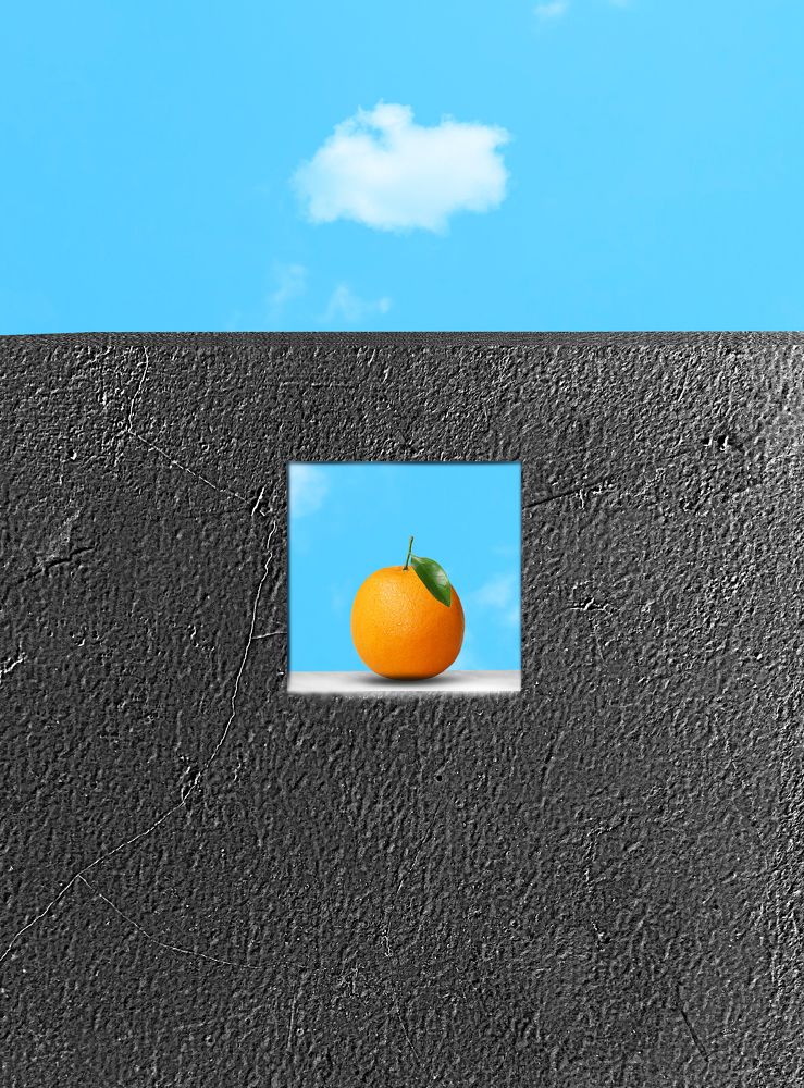 Symbiosis in Harmony