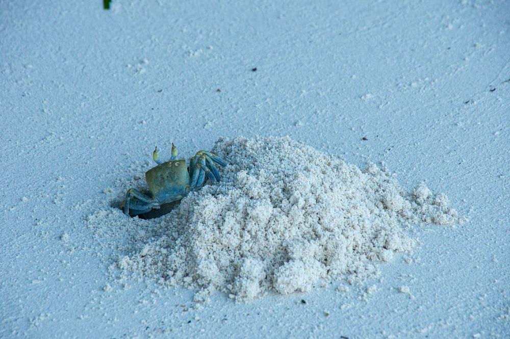 Photograph by Елизавета Корнилова