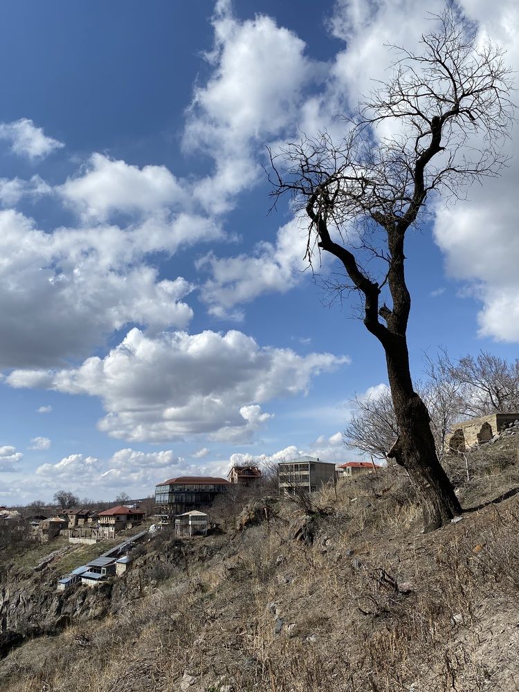 Фотография автора Мелине Микоян