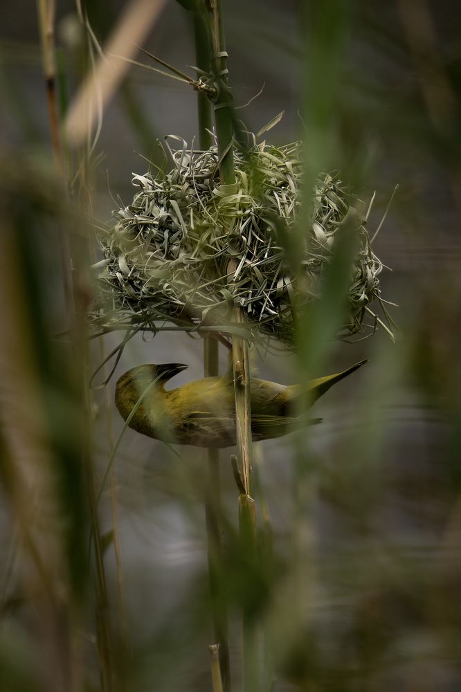 Photograph by Aubry Schaefer