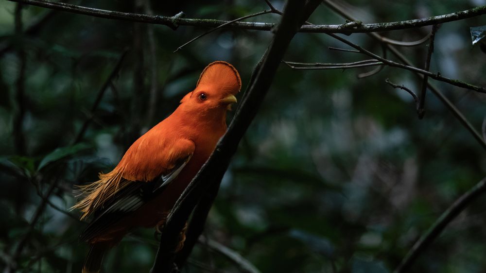 Photograph by Aubry Schaefer