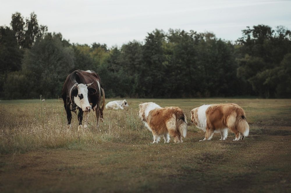 Photograph by Людмила Потапочкина