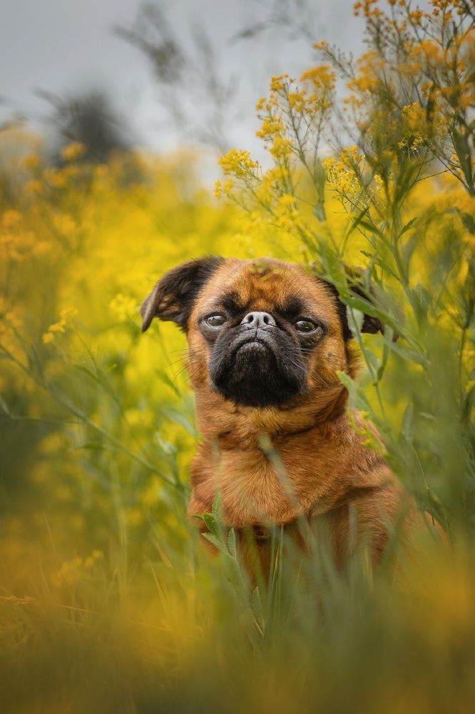 Photograph by Людмила Потапочкина