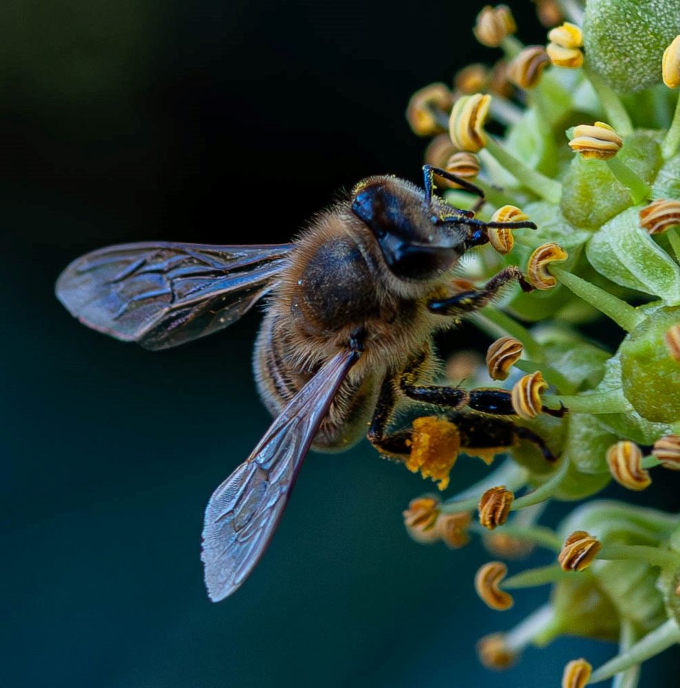 Фотография автора DIMITRIS MPAZIOTOPOULOS