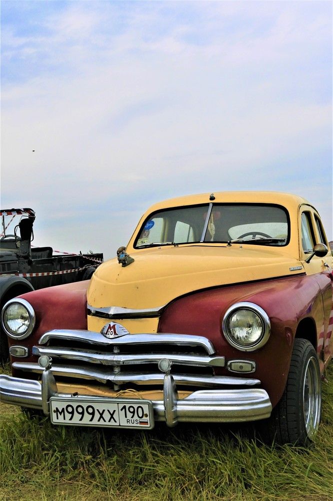 Фотография автора IRINA FILIPPOVA