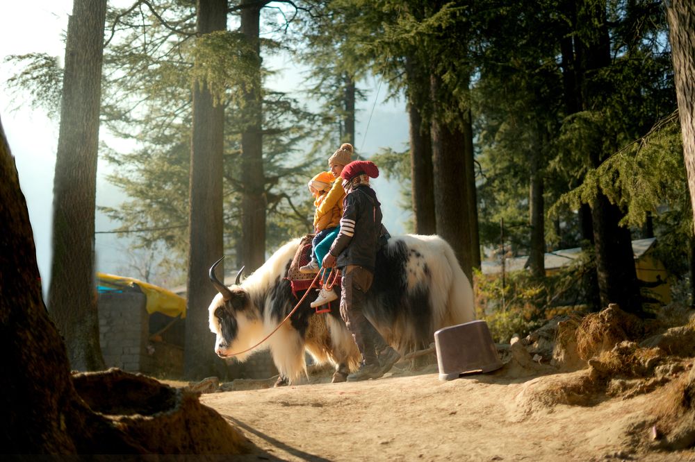 Photograph by Utkarsh Tiwari