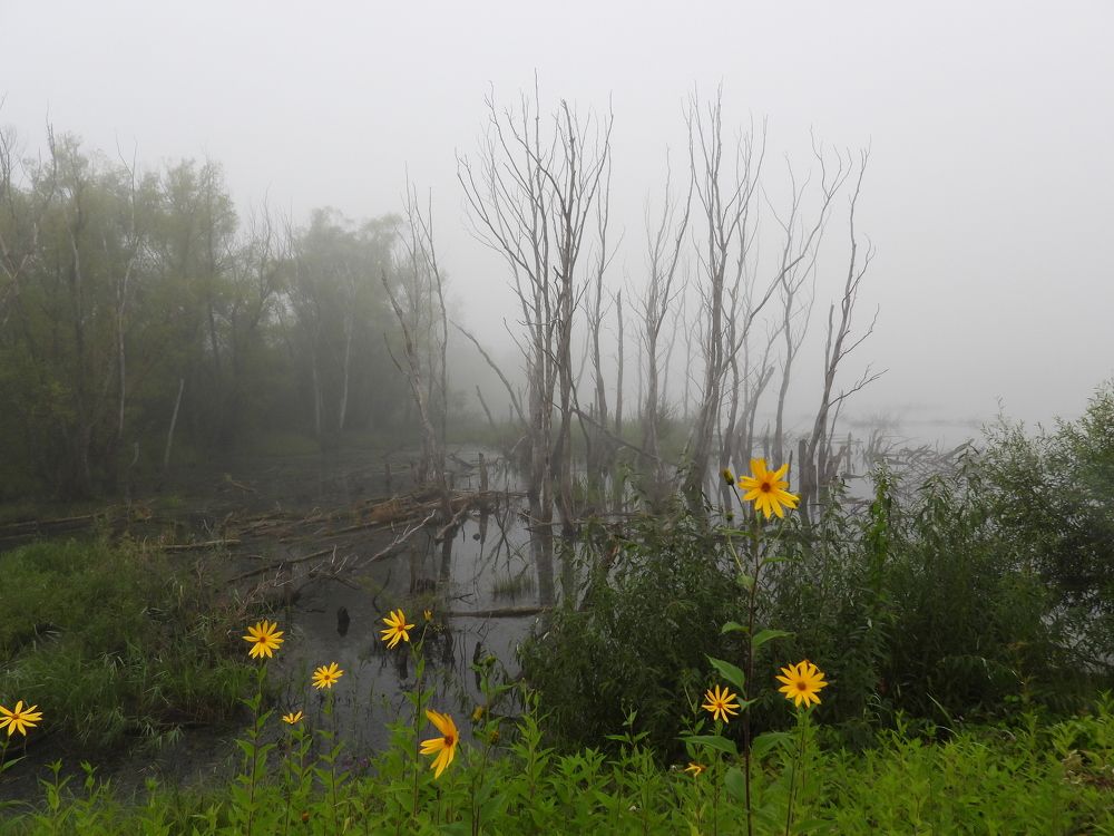 Photograph by Владимир Джерихов