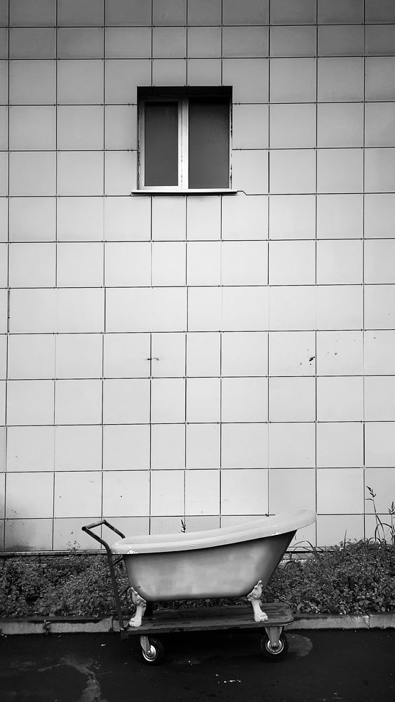 Photograph by Кривенко Владимир