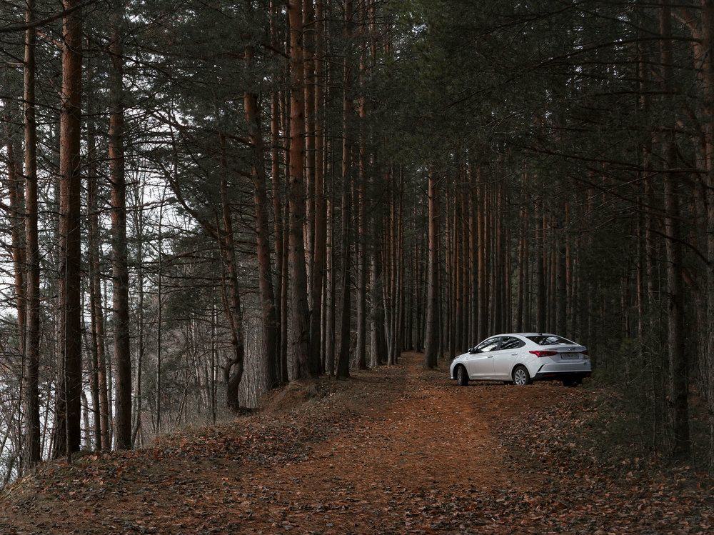 Photograph by Наталья Матухина