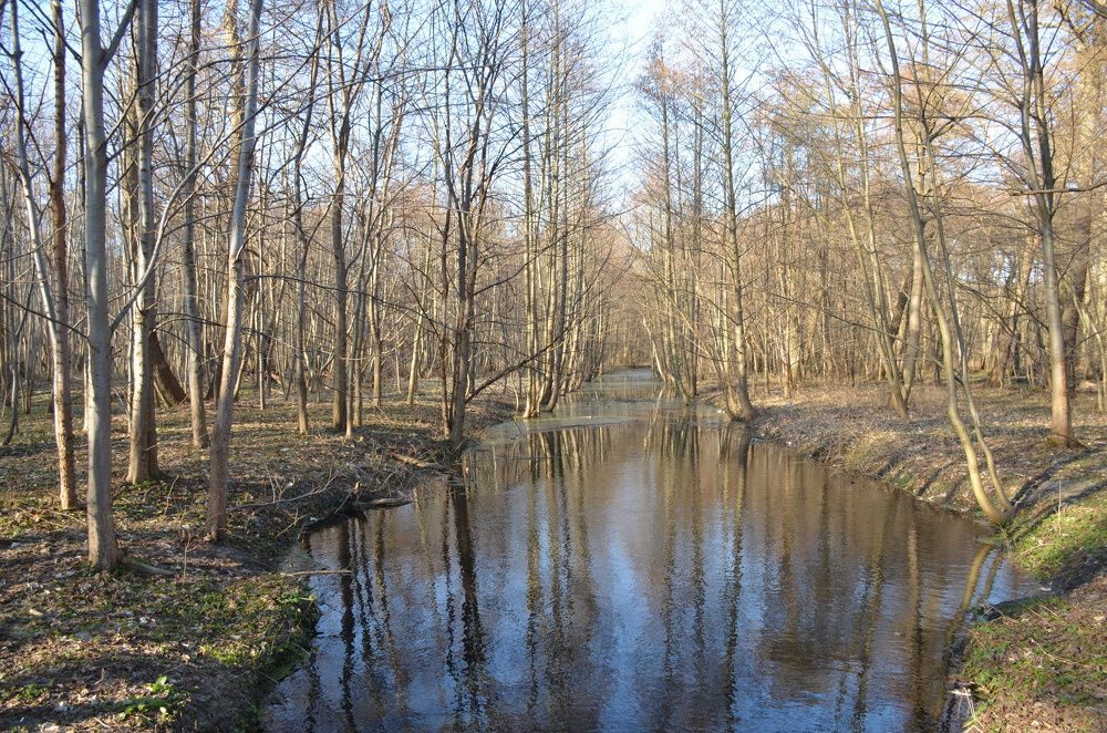 Photograph by Надежда Каравайцева