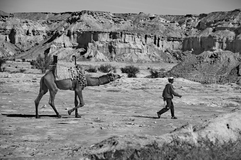 Фотография автора koroush aghadavoodi