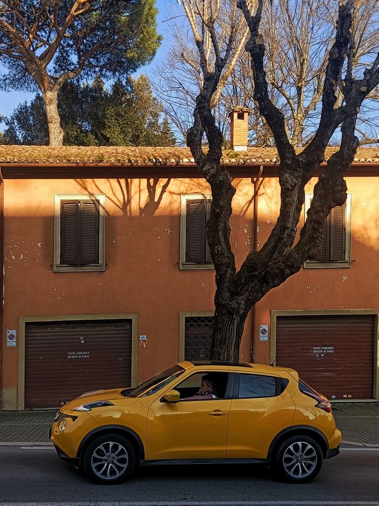 Photograph by Iryna Shyshkina