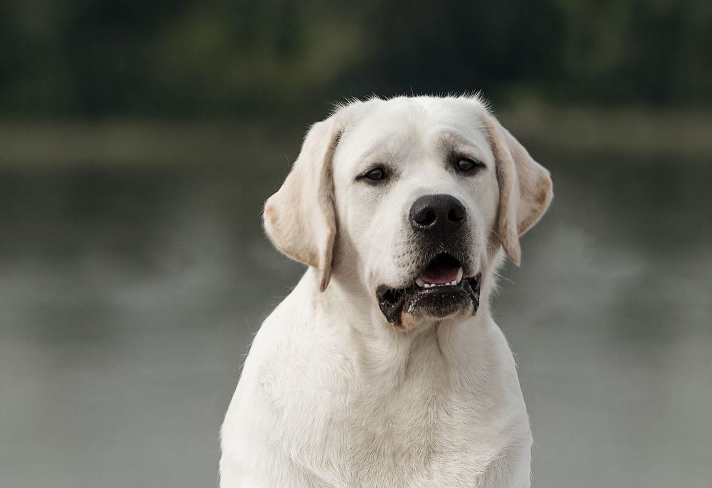 Photograph by Anastasia