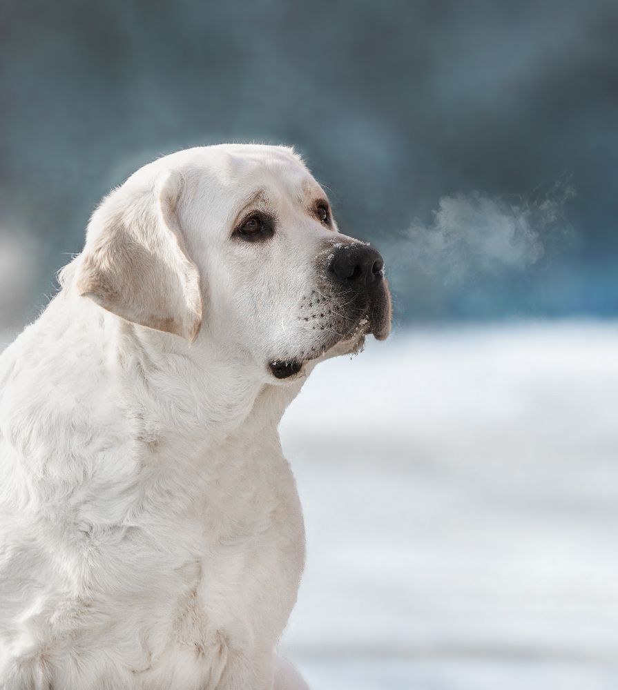 Photograph by Anastasia