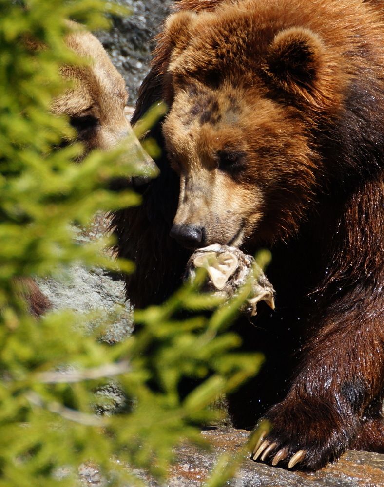 Photograph by Юрий Сычев