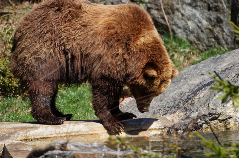 Photograph by Юрий Сычев