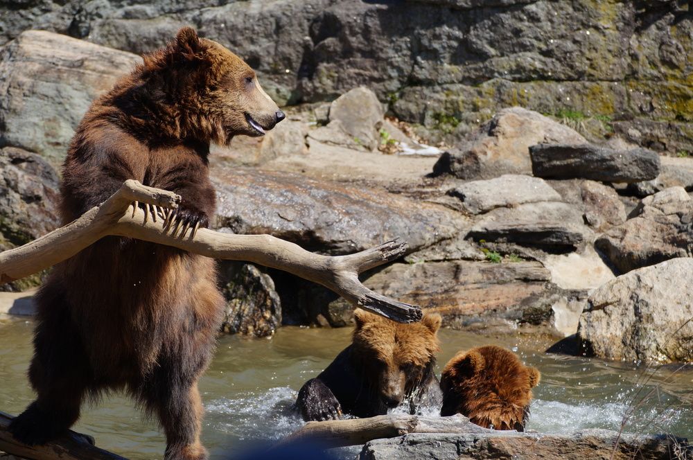 Photograph by Юрий Сычев