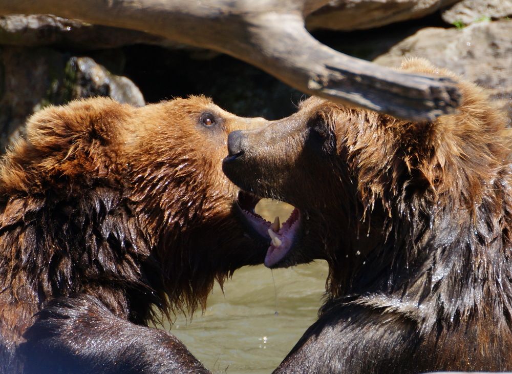 Photograph by Юрий Сычев