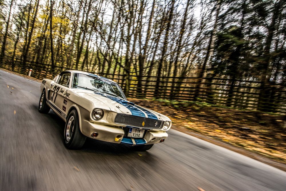 Фотография автора Chorche Prigo