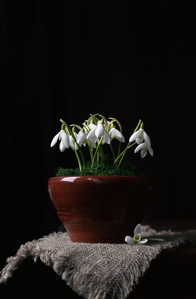 Photograph by Александра