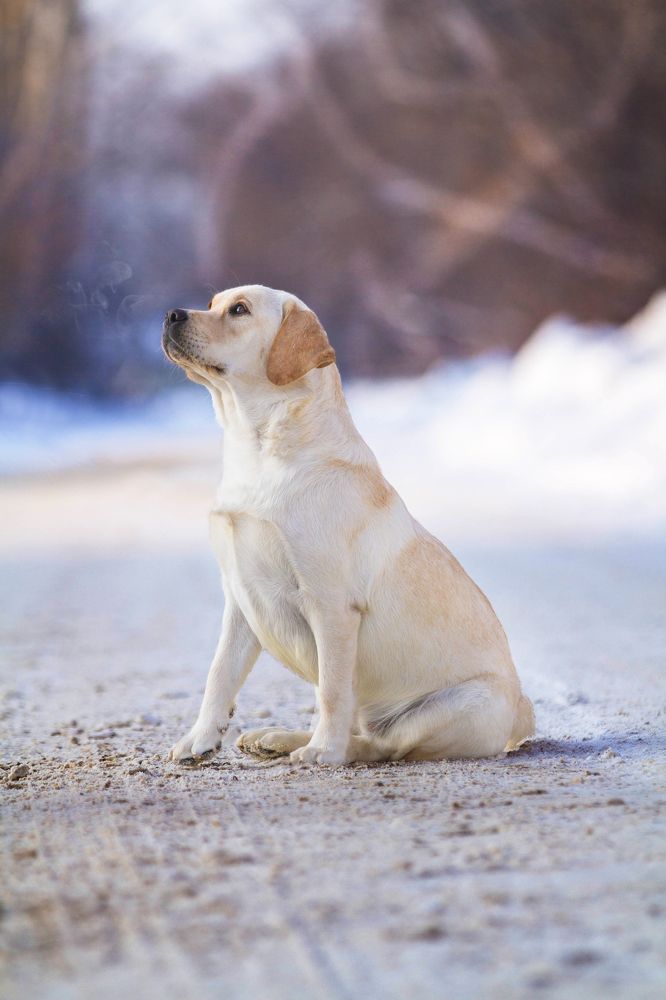 Photograph by Anastasia