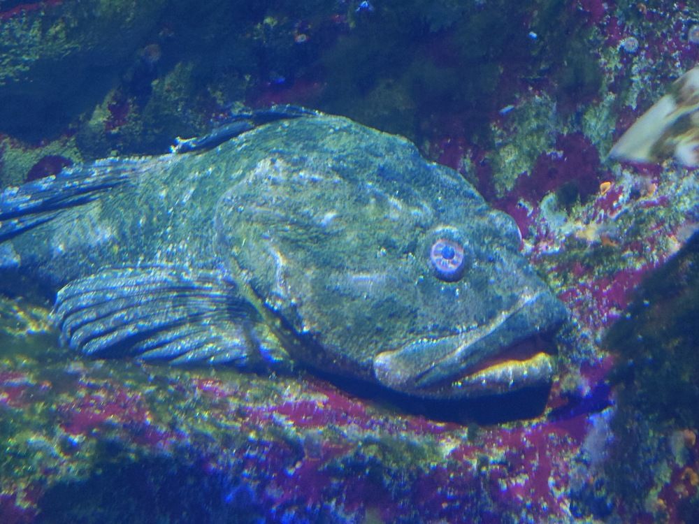 Photograph by Юрий Сычев