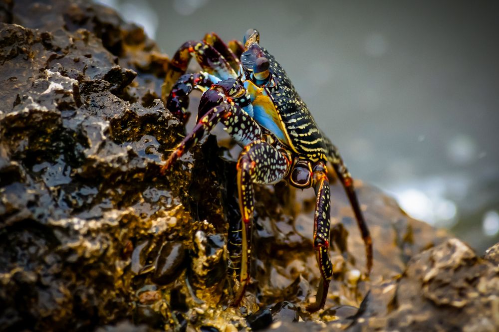 Photograph by Luis Alfredo Morales Torres