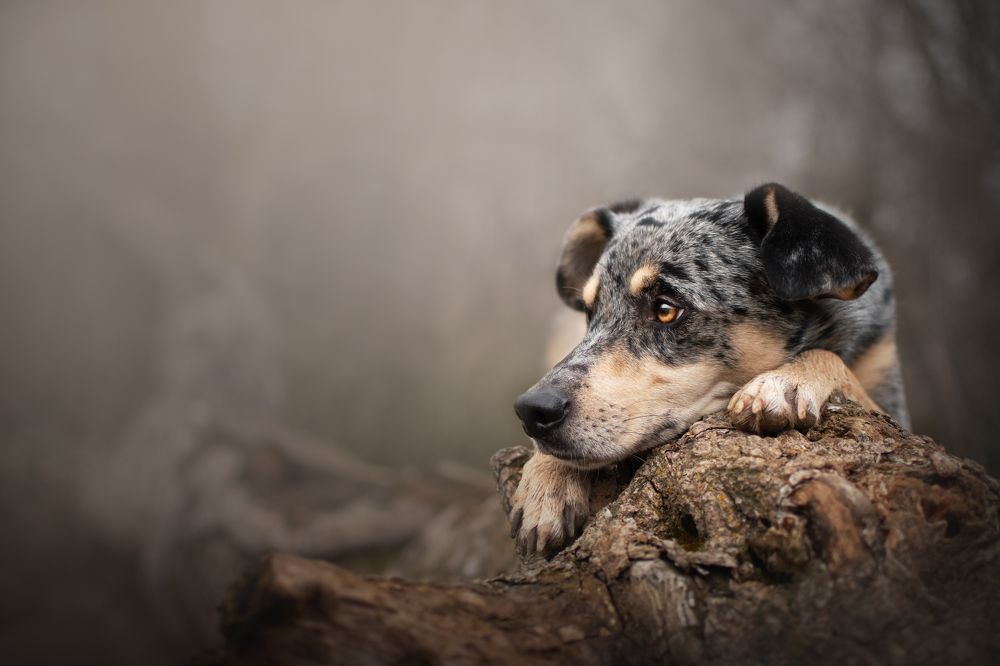 Photograph by leticia pascual garcia