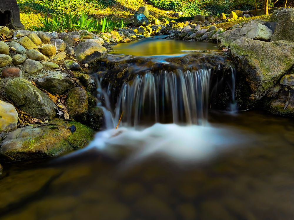 Photograph by Dragan Jekić