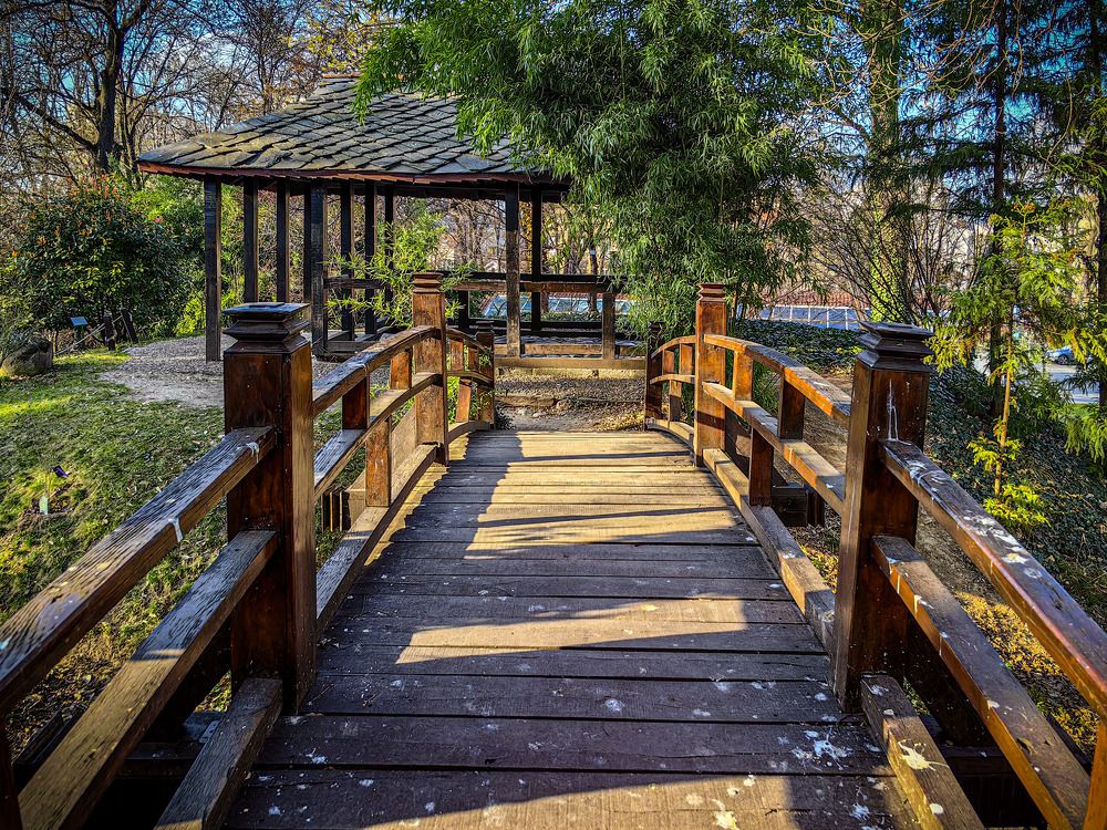 Photograph by Dragan Jekić