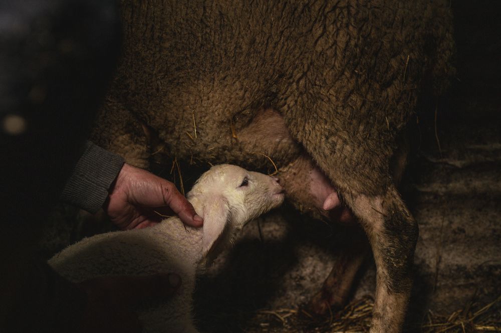 Photograph by Andreas Kanellopoulos