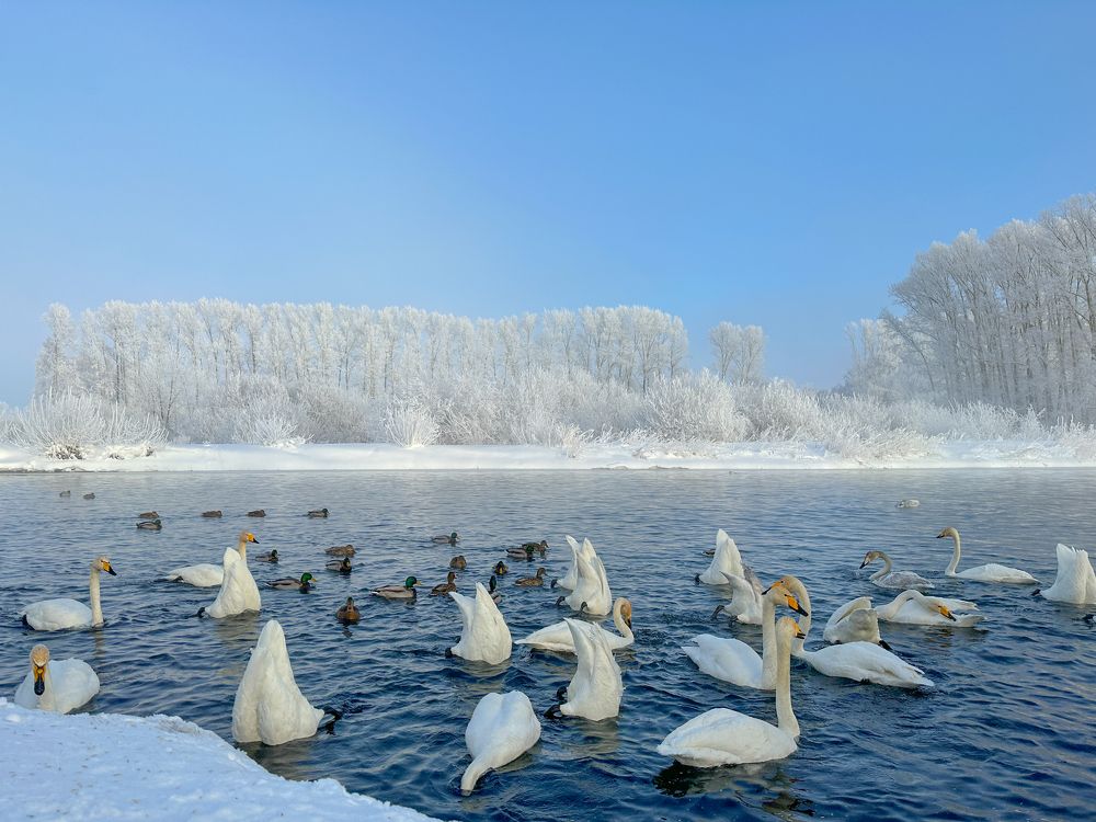 Фотография автора Юрий Пустовит