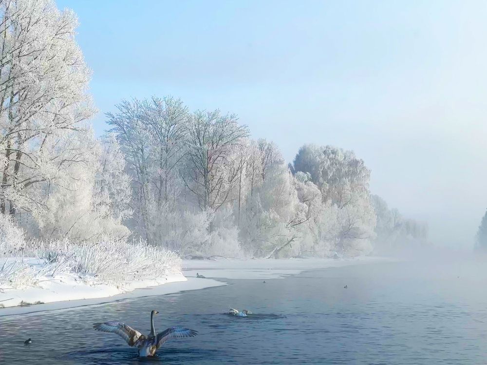 Фотография автора Юрий Пустовит