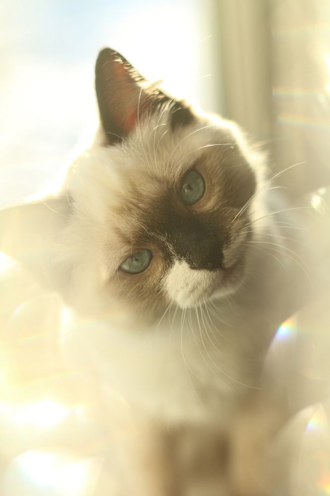 Photograph by Not Silver