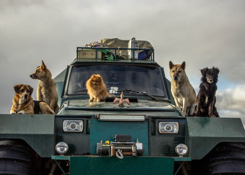 Photograph by Алина Быстрова