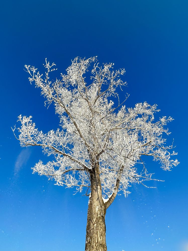 Фотография автора Юрий Пустовит
