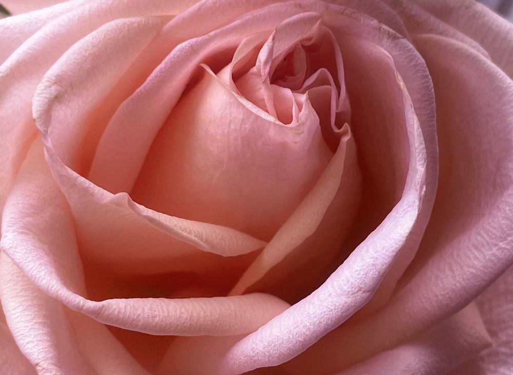 Photograph by Cozette Marcello