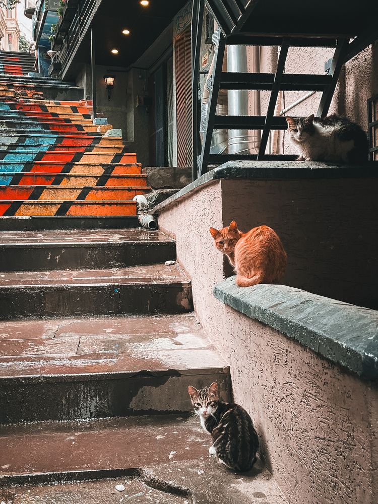 Photograph by Дмитрий Дутов