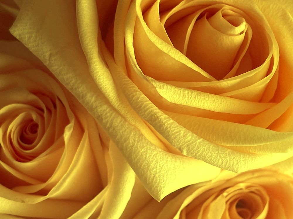 Photograph by Cozette Marcello