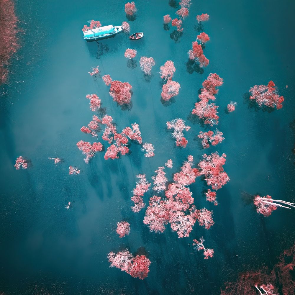 Photograph by Châu Minh Nguyễn