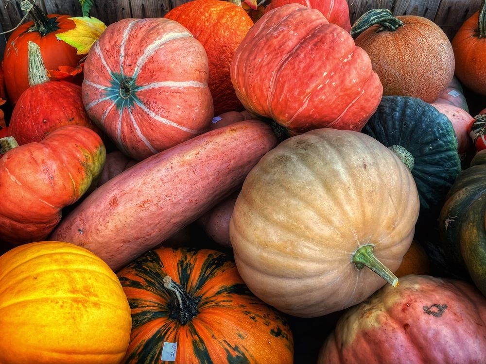 Photograph by Cozette Marcello