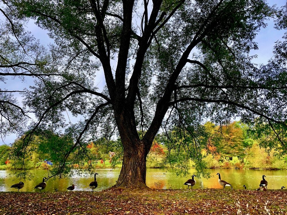 Photograph by Cozette Marcello